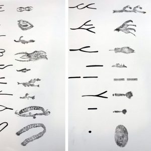 Tipos característicos originales de las huellas dactilares y traducción de esos tipos característicos de las huellas dactilares a través de mi dibujo.
