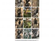 D6164123-B9C9-49B0-957A-01F6B461DE6D