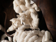 PHOTO-2024-09-23-17-23-59