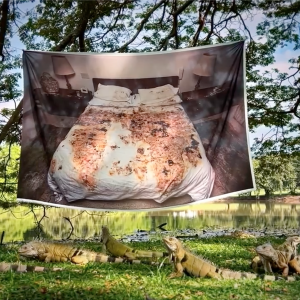 De la serie: De una vida a otra  Umbrales afectivos y materias  sorprendentes  2026 Video digital y sonido 5.1