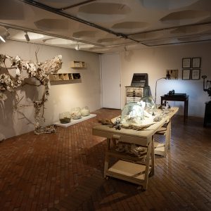 Taller de Ana María Devis
Recreación del taller de la artista,
 un espacio que da cuenta de sus procesos de trabajo, basados 
en la acumulación, el reciclaje y la transformación de materiales.