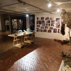 Taller de Ana María Devis
Recreación del taller de la artista,
 un espacio que da cuenta de sus procesos de trabajo, basados 
en la acumulación, el reciclaje y la transformación de materiales.