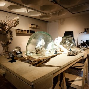 Taller de Ana María Devis
Recreación del taller de la artista,
 un espacio que da cuenta de sus procesos de trabajo, basados 
en la acumulación, el reciclaje y la transformación de materiales.