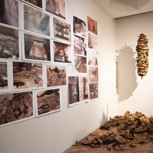 Taller de Ana María Devis
Recreación del taller de la artista,
 un espacio que da cuenta de sus procesos de trabajo, basados 
en la acumulación, el reciclaje y la transformación de materiales.