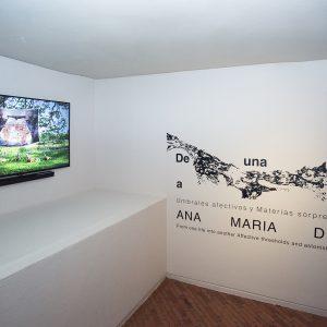 De una vida a otra  Umbrales afectivos y materias  sorprendentes  2026