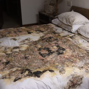 Documentación parcial de la colonización fúngica, bacteriana y microbiana de un apartamento en Bogotá2026Registro fotográfico digital por Lisa Palomino