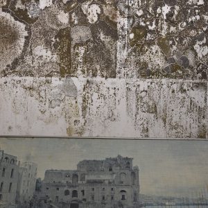 Documentación parcial de la colonización fúngica, bacteriana y microbiana de un apartamento en Bogotá2026Registro fotográfico digital por Lisa Palomino