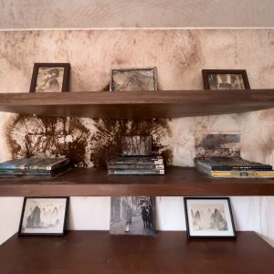 Documentación parcial de la colonización fúngica, bacteriana y microbiana de un apartamento en Bogotá2026Registro fotográfico digital por Lisa Palomino