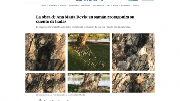 obra de Anamaría Devis inspirada en un árbol de samán durante el periodo de aislamiento.